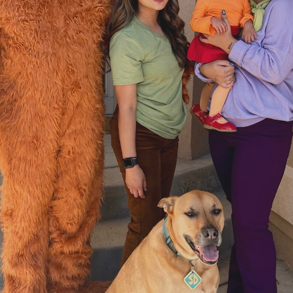 Kensie Corduroy Flare Jeans (Shaggy Scooby Doo Costume)